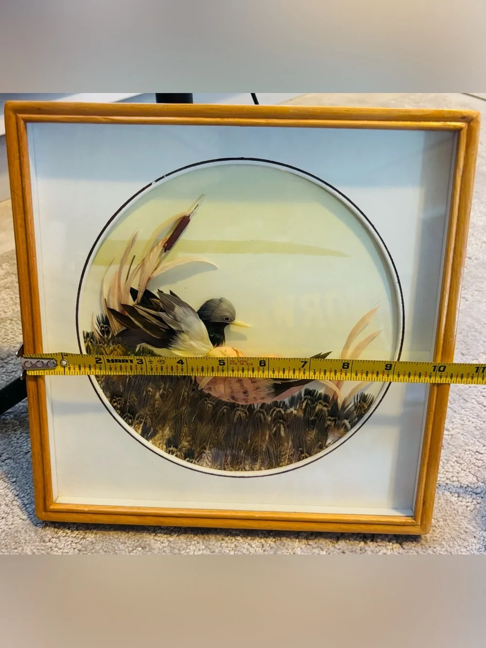 Vintage Mexican Feather Art Framed - Real Feathers Birds in Marsh Reed